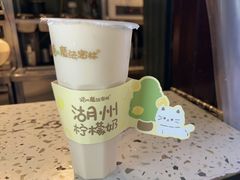 -猫的魔法密林(衣裳街店)