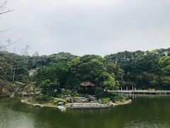 -广州市帽峰山景区