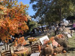 -HERRE·FARM 赫尔露营农场·团建聚会包场