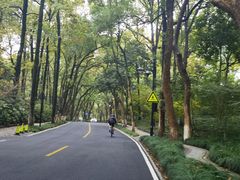 -古韵餐厅(湖畔大学店)