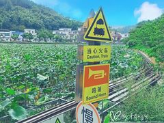 -红山村