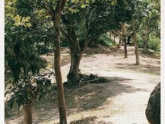 -燕晗山郊野公园
