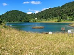 -武陵山森林公园