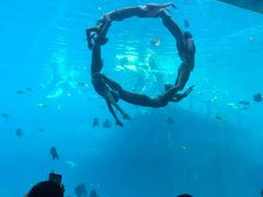 -瑞德姆美人鱼海底演艺主题餐厅(亚龙湾店)