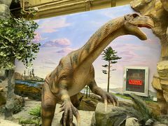 -国家自然博物馆