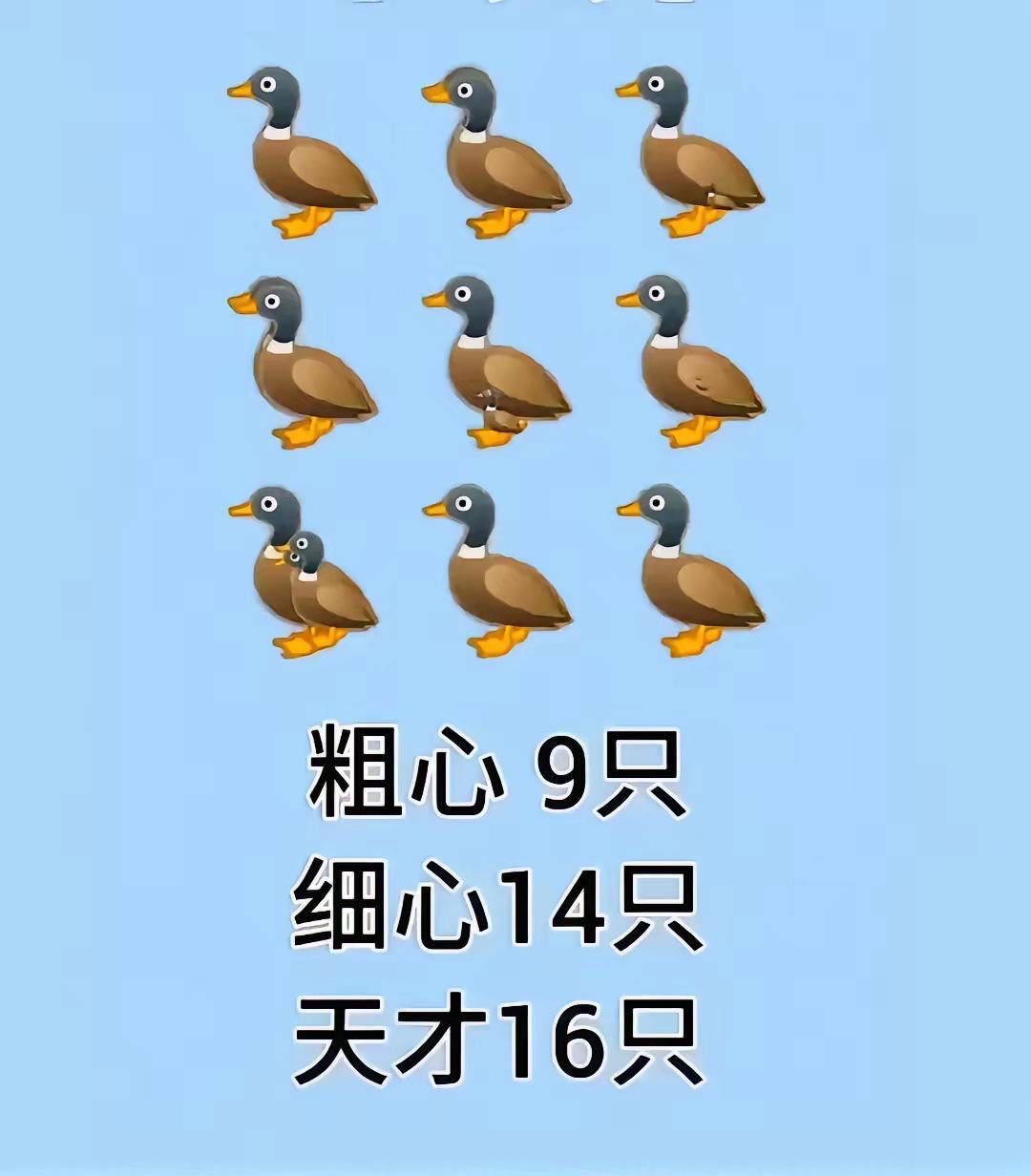 考眼力:图中有几只鸭子?