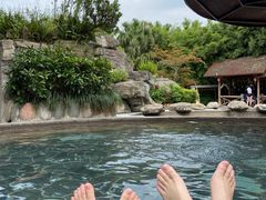 -雅安楠水阁温泉酒店