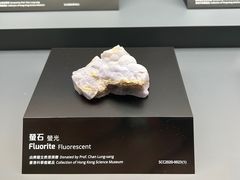 -香港科学馆