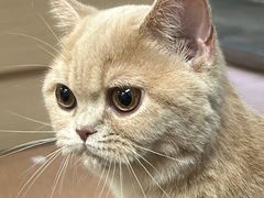 -宠颐生中康贝怡动物医院