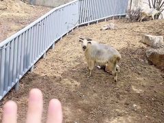 -无锡动物园·太湖欢乐园