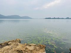 -东湖落雁景区