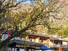 -塔川景区