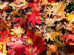 -本溪老边沟风景区