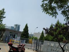 -中粮丰通（北京)食品有限公司