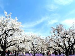 -江苏三台山国家森林公园