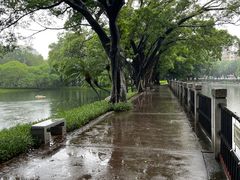 -晓港公园