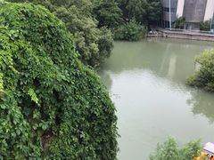 -青枫公园