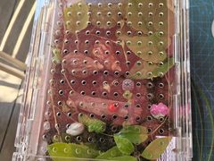 -嘉北郊野公园