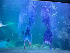 -左海海底世界