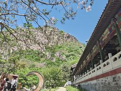-京东石林峡风景区