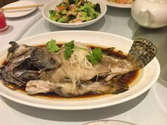 -新洪记·丽久饭店(铁西店)
