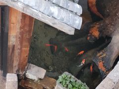 -老李家土菜馆·安吉地标美食