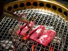 -300杯·和牛烧肉清酒专门店(廊里店)