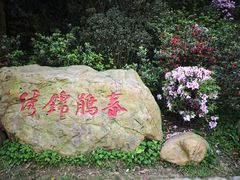 -梧桐山风景名胜区