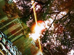 -凤凰御元艺术基地