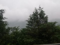 -天源渔港农庄
