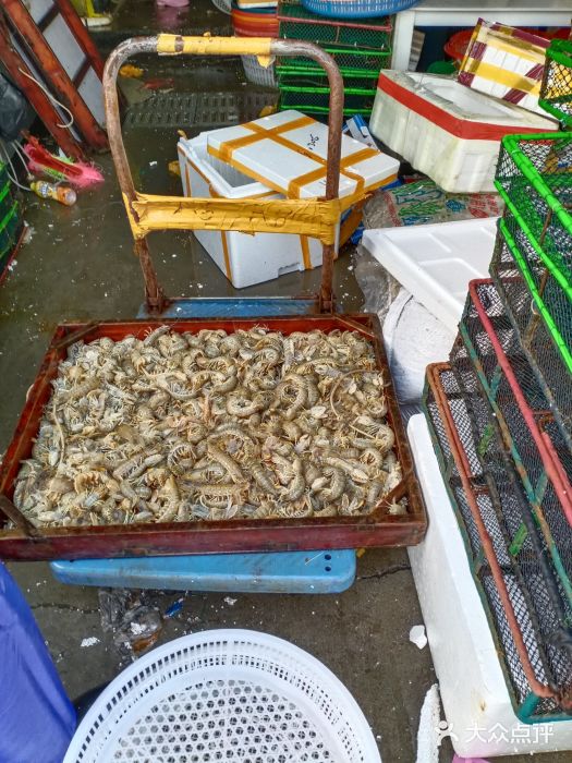 王四营海鲜市场图片