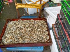 -王四营海鲜市场