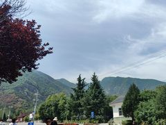 -少华山国家森林公园