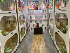 -青奢宠物·青奢猫舍