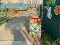 -菊园百果园