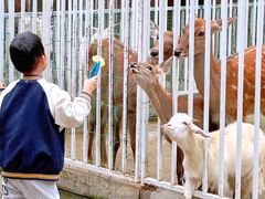 -蓝地时尚庄园(北京清河营地铁站店)