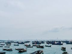 -海源公园