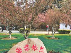 -荆川公园
