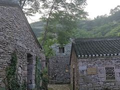 -蛇蟠岛