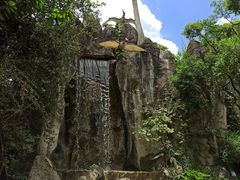 -昆明动物园