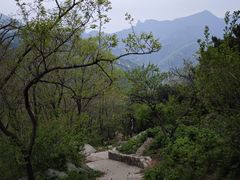 -泰山风景名胜区