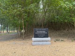 -汉长安城未央宫国家考古遗址公园