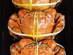 -黄记大闸蟹专卖店·活蟹·醉蟹