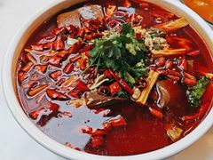 -院8里·小乐园家常味川菜(鹭洲里店)