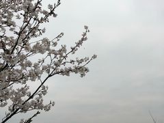 -团城山公园