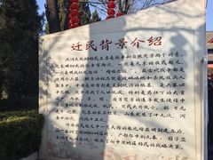 -大槐树寻根祭祖园
