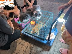 -万达广场(巴南店)