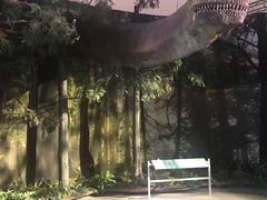 -广东科学中心科技影院