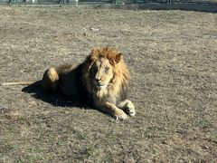-鄂尔多斯野生动物园