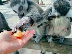 -水上乐园·欢乐世界